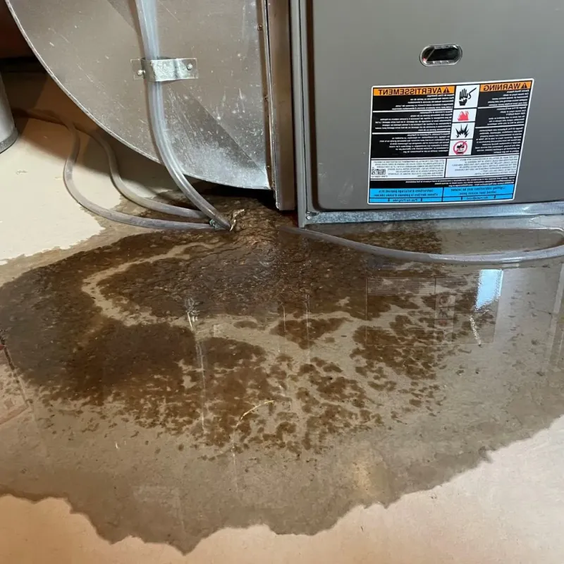 Pipe Burst and Leak Restoration in New South Memphis, TN